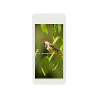 //rkrorwxhmnnilk5p.ldycdn.com/cloud/jlBpjKprlnSRjklqpnrqjq/KTD-HBP55600PTTW-V3.jpg